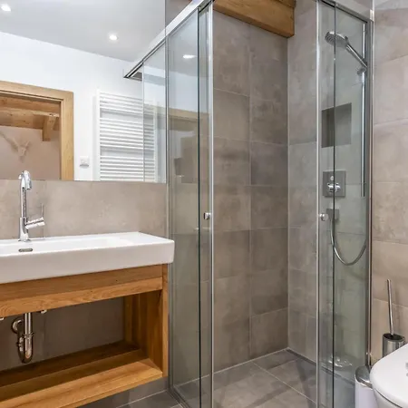 木屋 Alpen Danica Mühlbach am Hochkönig