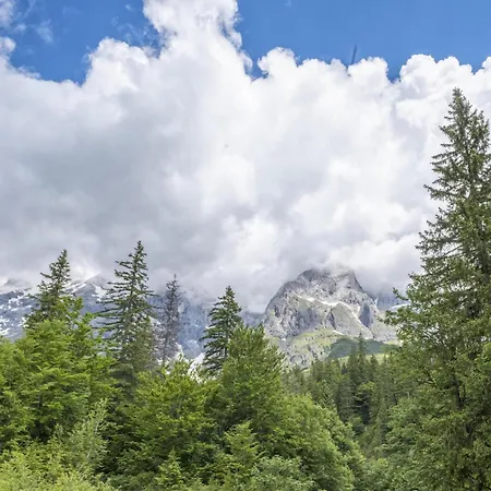 Alpen Danica *